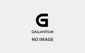 gallantium_blog