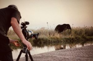 filming in conservation lower zambezi 